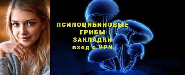 mix Сатка