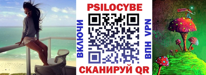 Галлюциногенные грибы Psilocybe  Полевской 